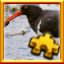 Icon for Oystercatcher Complete!