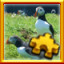 Icon for Puffins Complete!