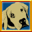 Icon for All Dogs Puzzles Complete!