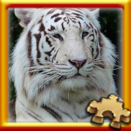 White Tiger Complete!