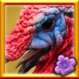 Turkey