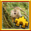 Icon for Squirrel Monkey Complete!