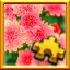 Icon for Flowers Complete!
