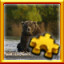Icon for Grizzly Complete!