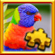 Icon for Lorikeet Complete!