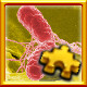 Icon for Bacteria Complete!