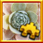 Icon for Succulents Complete!