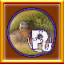 Icon for All Fantasy 2 Puzzles Complete!