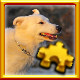 Icon for Dog Complete!