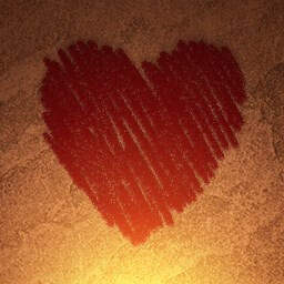 Icon for My Favorite Photographer