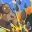 Last hit titan icon
