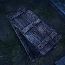 Saved from the Shadows