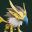 Shan Hai : Mythic Origins Playtest icon