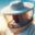 Beekeeper Simulator icon