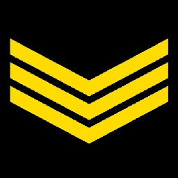 Icon for Senior Private
