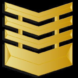 Icon for Staff Sergeant Deputy Platoon Leader
