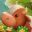 Everdream Village icon