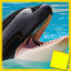 Icon for Orca Complete
