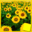 Icon for Sun Flowers Complete