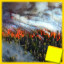 Icon for Forest Fire Complete