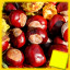 Icon for Conkers Complete