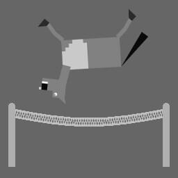 Trampoline