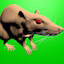 Rat Muncher!!