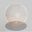 Ball Roller icon