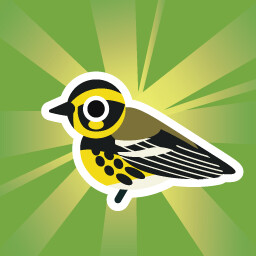 Icon for Walked Around