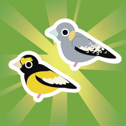 Icon for Love Birds