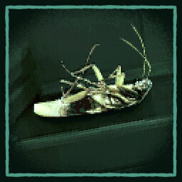 Icon for Pest Control