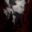 Marcella Moon: The Phantom of Harvest Grove icon