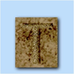 Icon for The New Tomb Raider