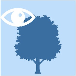 Icon for Forest Spirit