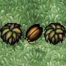 Icon for Challenge: Defeated MOAR