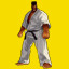 'Witness the full power of the Kyokugenryu karate!' achievement icon