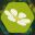 Phero icon