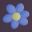 Striatum icon