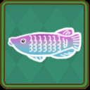 Icon for Ornamental Expert