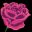 Journey of the Garden Rose icon