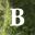 Bael's Rock: A Text Adventure icon