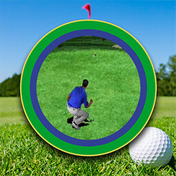 It's In the Hole!