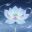 百妖试禅心 icon