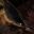 There Is No Lore Playtest icon