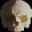 Necrodungeon icon