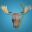 Moose Diver icon