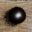 Game With Balls icon