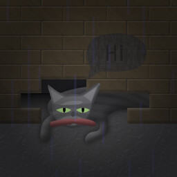 Icon for Is This All I Really Am?