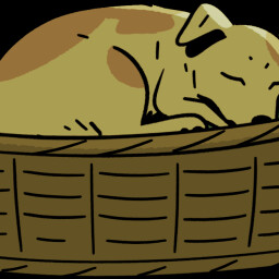 Pet Dog