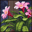 Icon for Flower